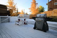 BBQ